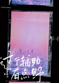 这个辅助有点野